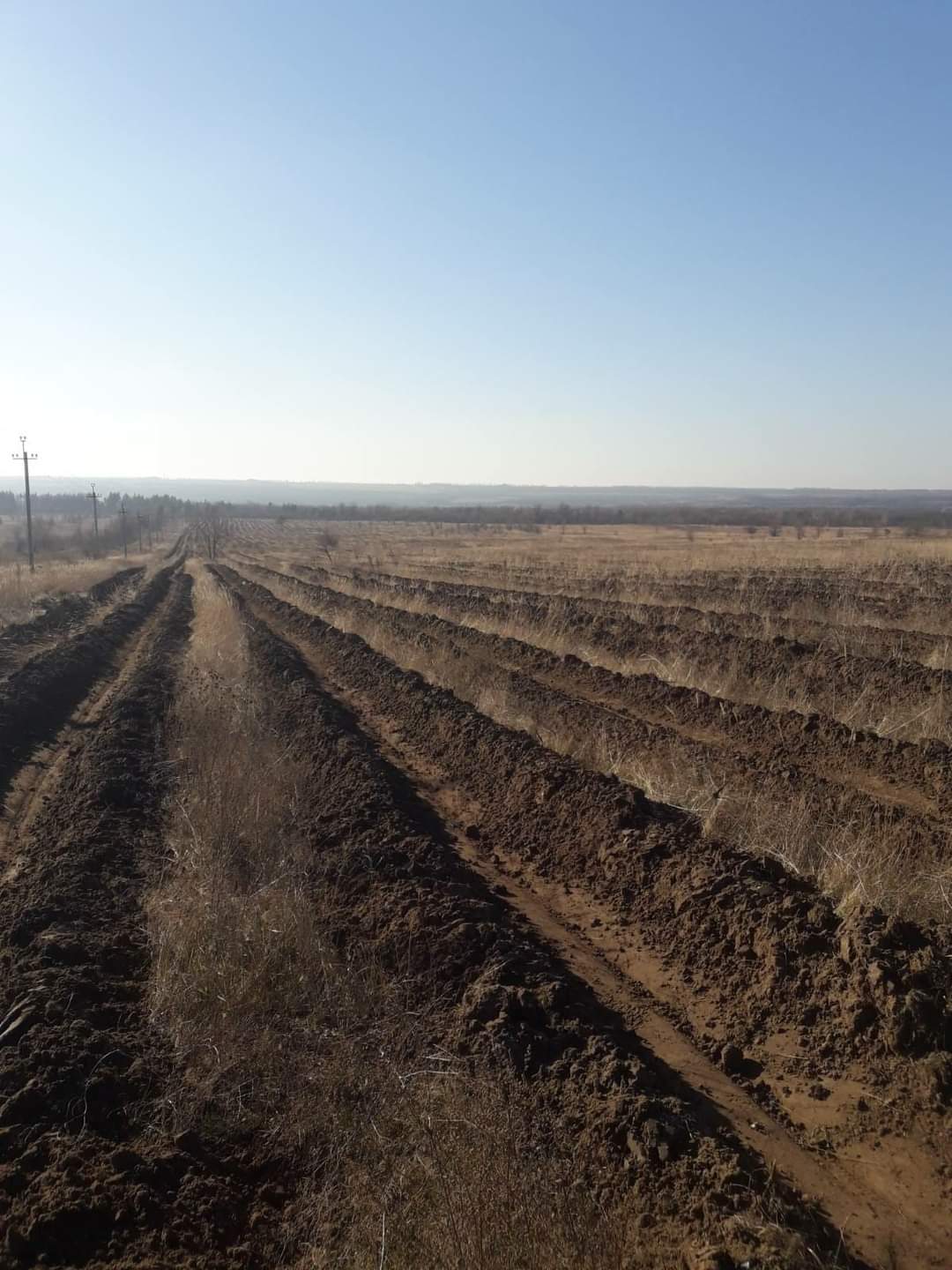 ПЕРША ЧАСТИНА «ЕСТОНСЬКОГО ГАЮ» ВИСАДЖЕНА НА ЛУГАНЩИНІ!