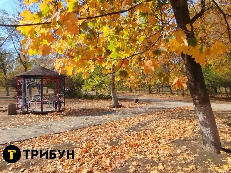 Департамент продовжує патріотичний флешмоб #ЛуганщинацеУкраїна світлинами осені в тимчасово окупованому Алчевську  