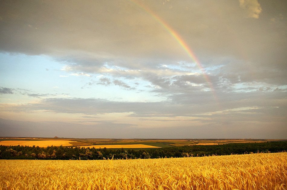 Рідна Луганщина 