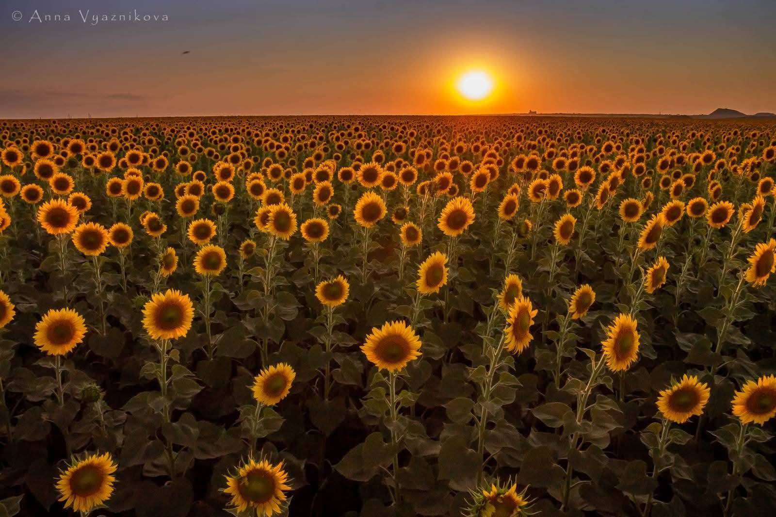 Архівні фото Лисичанська