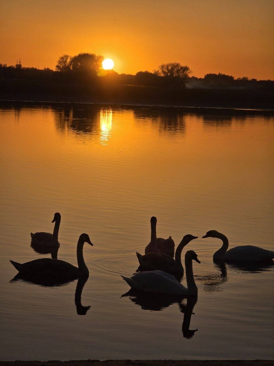 585868719_2096269074448384_1400111205831519601_n