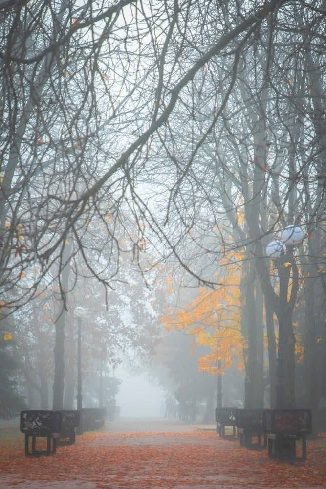 Осінні світлини Луганська 