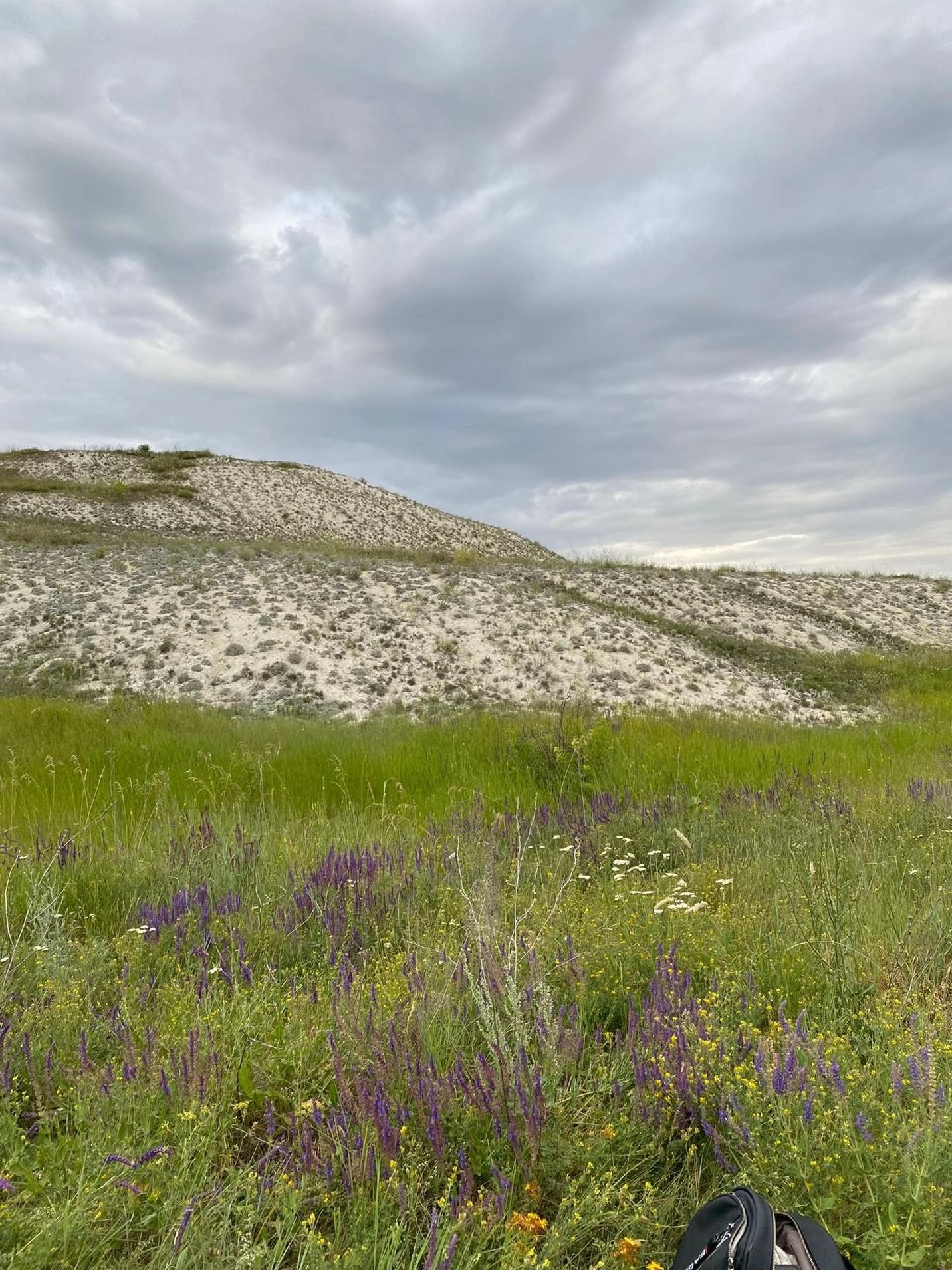 586398713_2099444154130876_4507850165794468499_n