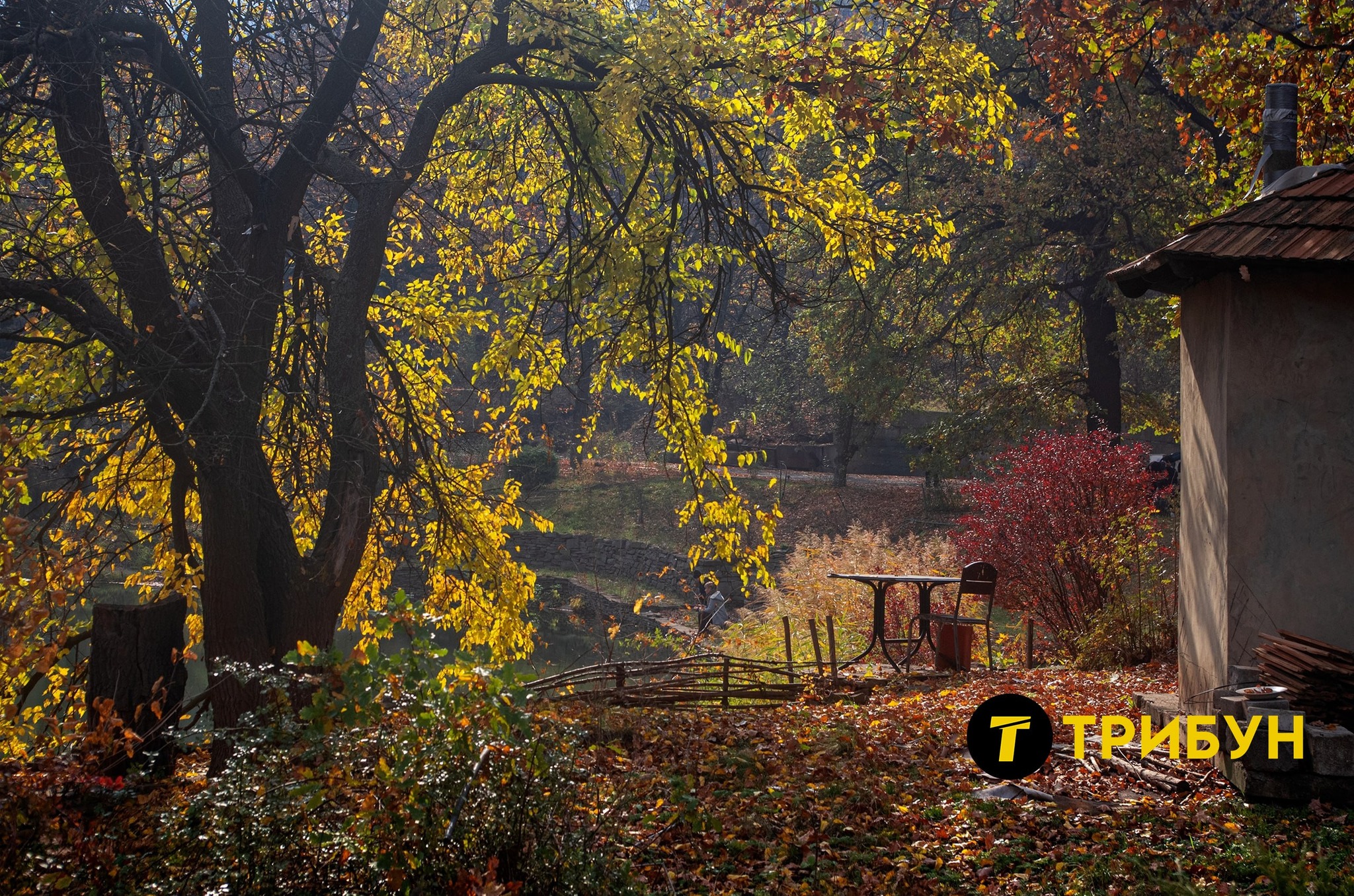 592898538_2107320026676622_4565772994606198086_n