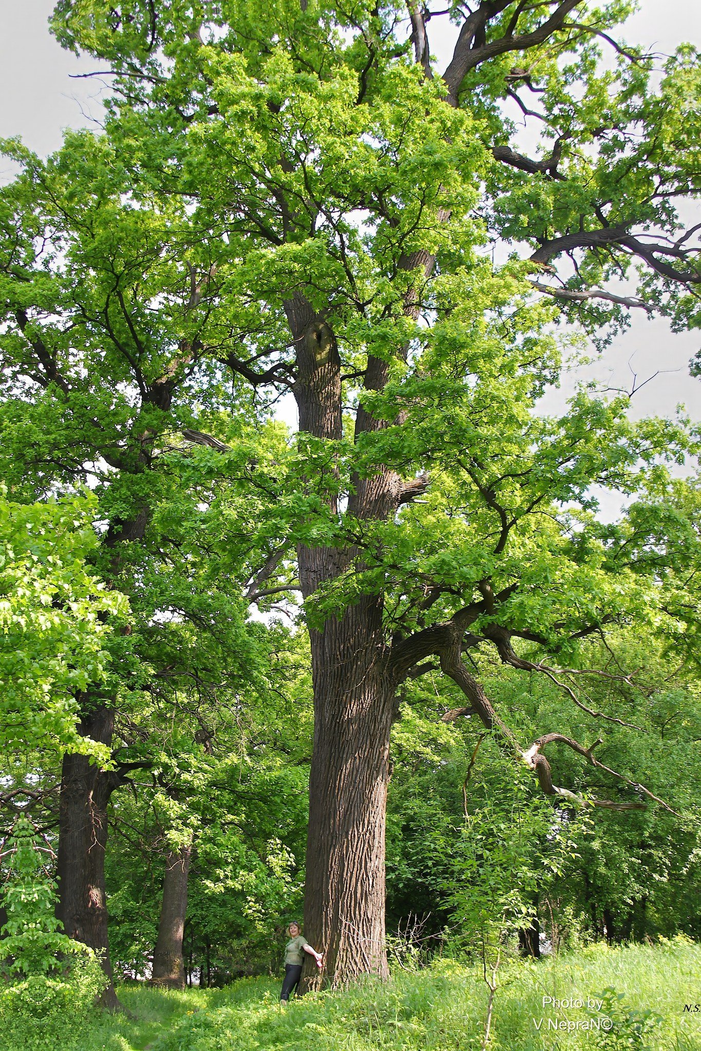 592913778_2108941893181102_2410320732736900569_n